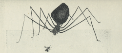 Ten Engravings